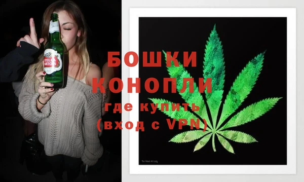 индика Дмитровск
