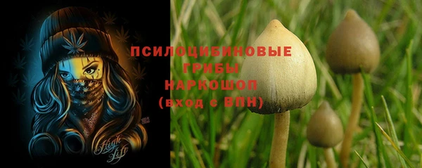 стафф Усинск