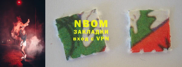 индика Дмитровск