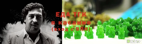 индика Дмитровск