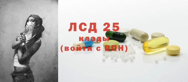 хмурый Ельня