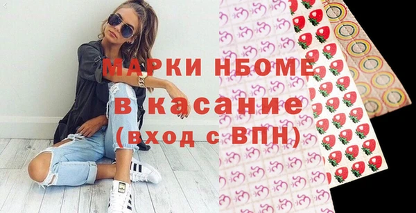 индика Дмитровск