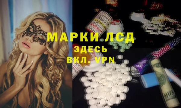 индика Дмитровск