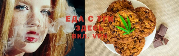 индика Дмитровск