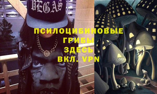 индика Дмитровск