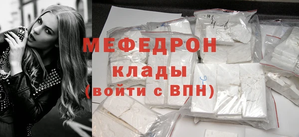 индика Дмитровск