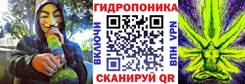 Купить закладки  Оха  Каннабис сатива 